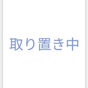 カスタムドール キャストドール niuniu dayuanbao風 qbaby
