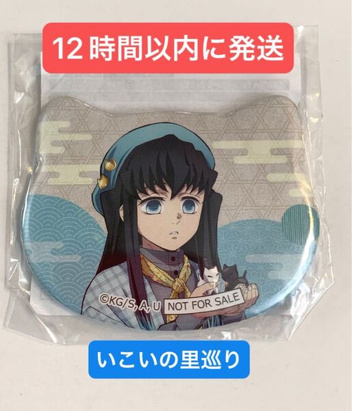 【激レア】時透無一郎 ナンジャタウン いこいの里巡り 缶バッジ ねこ型