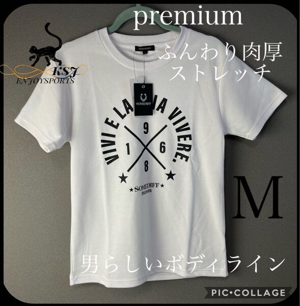 Tシャツ フィットネス 筋トレ ストレッチ お洒落 大人気 ワークアウト 西海岸 ビームス アディダス ナイキ ザラ 好きな方