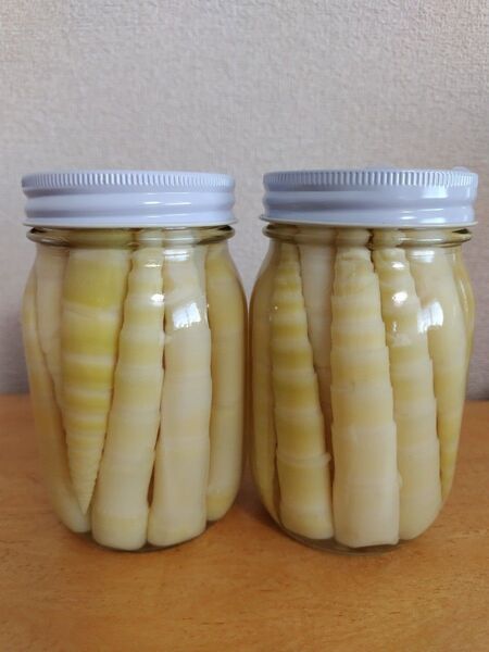 北海道産タケノコ(根曲がり竹)瓶詰め 450ml×2瓶