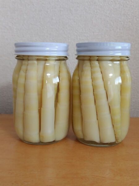 北海道ニセコ産タケノコ瓶詰め 450ml瓶×2本
