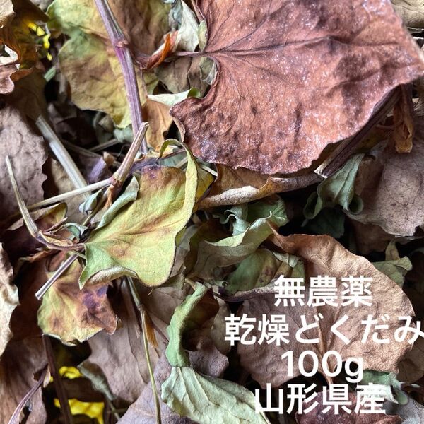 乾燥どくだみ/無農薬/お花付/山形県産/100g