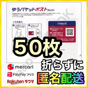 ゆうパケットポスト mini 封筒 50枚 配送用袋 +ハンドクラフト補強用厚紙1枚 MY-20250722