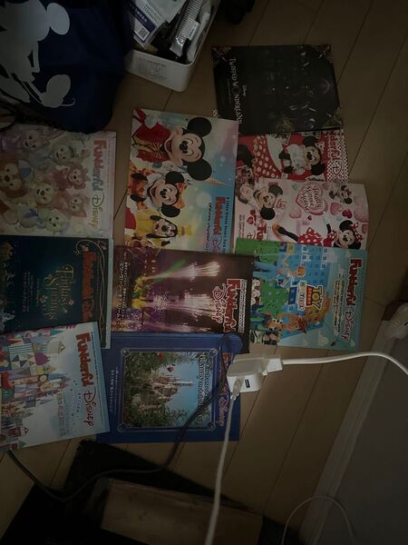 ディズニーリゾート ファンダフルディズニー会報誌ガカレンダー まとめ売り