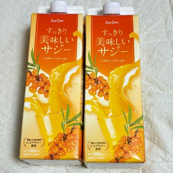 すっきり美味しいサジー 1000ml 2本セット SajiOne サジーワン