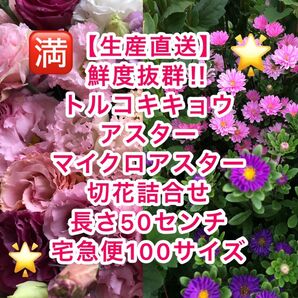No.1【生産直送】トルコキキョウ・アスター・マイクロアスター詰合せ長さ50㎝