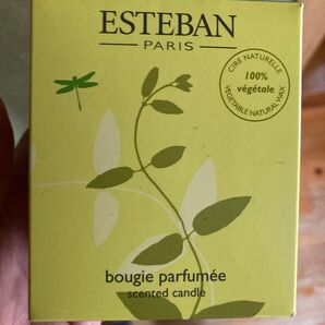 ESTEBAN キャンドル primrose bordier 未使用