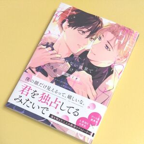 晴れない世界で君だけ見える 三日ミタ BL コミックス