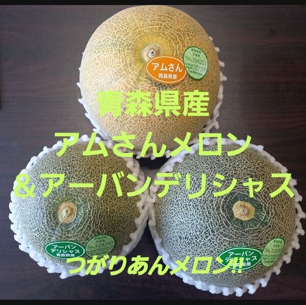★期間限定★青森県産 アムさんメロン&アーバンデリシャス 贈答用 1玉&1種類から選べます! ⑭