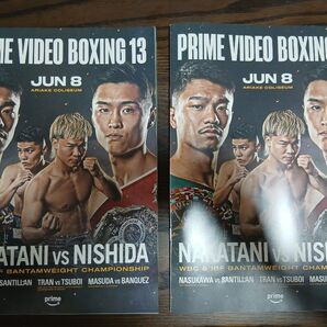 ボクシング パンフレット 中谷潤人 西田凌佑 那須川天心 BOXING 2冊