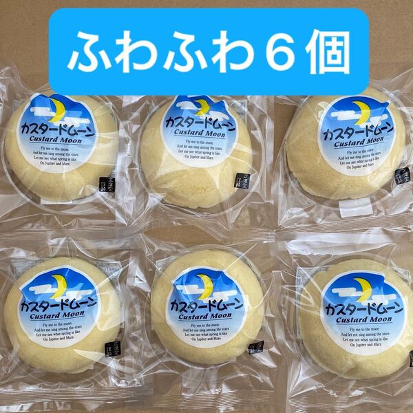 正進堂製菓 カスタードムーン 6個