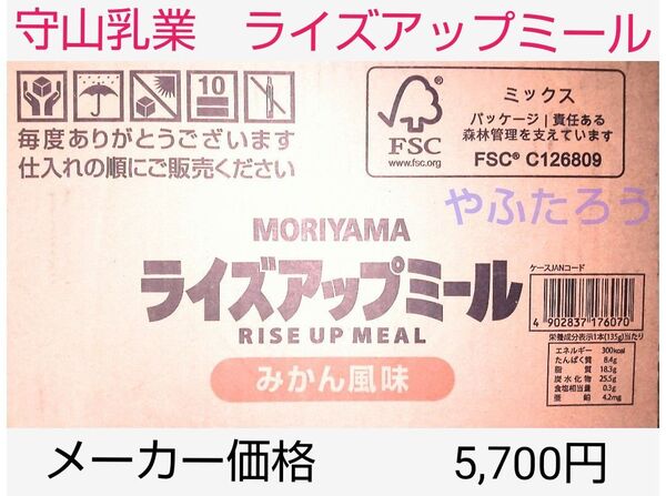 MORIYAMA ライズアップミール 栄養調整ゼリー みかん風味 135g×24本