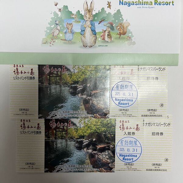 湯あみの島 ナガシマスパーランド 入場券 2枚