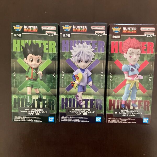 HUNTER×HUNTER ワールドコレクタブルフィギュア-ハンター試験-