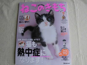 ★　送料無料　猫雑誌「ねこのきもち」2005 Vol.2　★