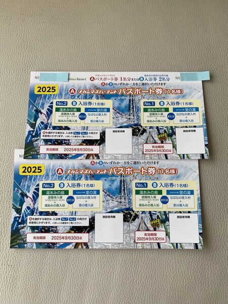 ナガシマスパーランド パスポート券 2名様分 か B入浴券4名様分 どちらかで。