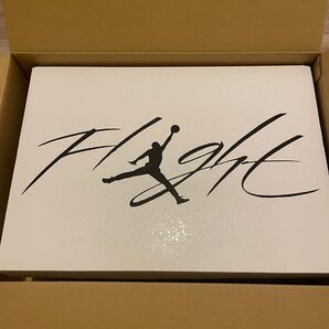 ナイキ エアジョーダン 4 レトロ NIKE AIR JORDAN 4 RETRO WHITE THUNDER