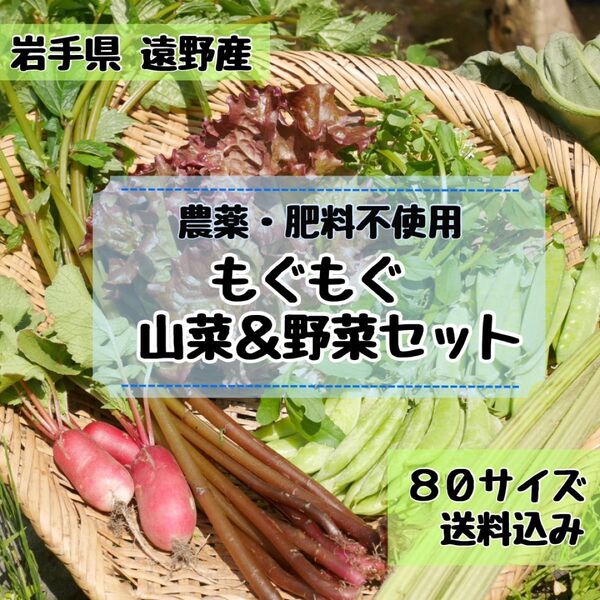 \\\\農家直送 子どもも喜ぶ//山菜 野菜セット 野菜詰め合わせ 80サイズ《自然農法 農薬・肥料不使用》