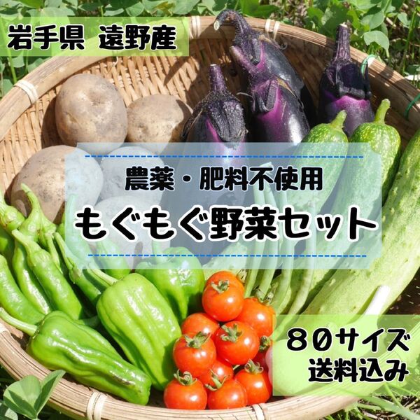 \\\\農家直送 子どもも喜ぶ//野菜セット 野菜詰め合わせ 80サイズ《自然農法 農薬・肥料不使用》