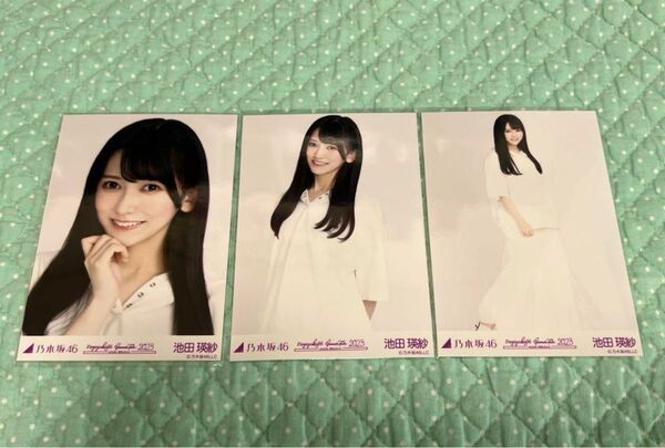 乃木坂46 生写真 コンプ 池田瑛紗 白×白コーデ