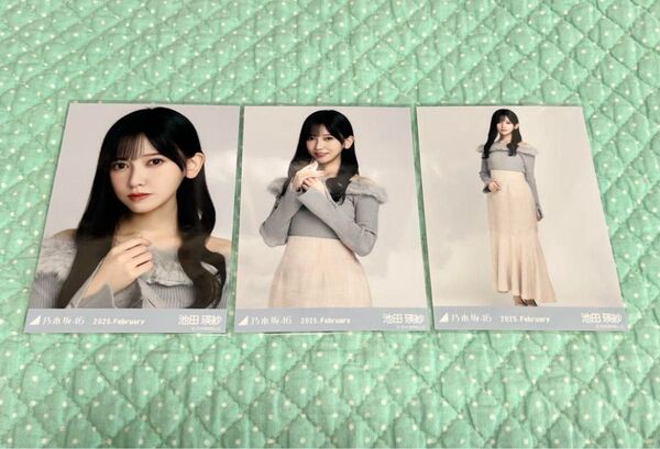 乃木坂46 生写真 コンプ 池田瑛紗 オフショルニット