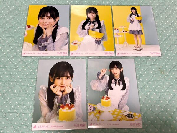 乃木坂46 生写真 個別生写真 池田瑛紗 2024 バレンタイン
