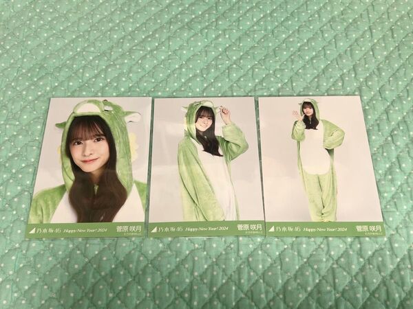 乃木坂46 生写真 コンプ 菅原咲月 干支 辰
