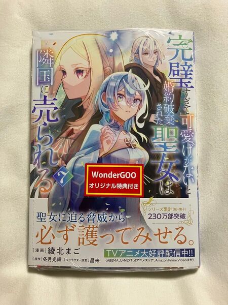 完璧すぎて可愛げがないと婚約破棄された聖女は隣国に売られる 7 (ガルドコミックス) 冬月光輝/原作 綾北まご/漫画