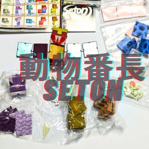 動物番長 SETON フィギュア メディコムトイ ワンフェス