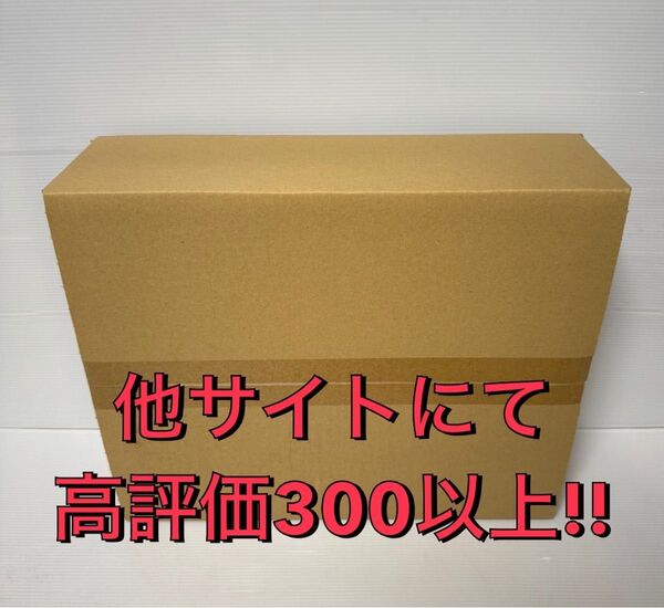 【新品未開封】MG 1/100 武者ガンダムMk-II 徳川家康 南蛮胴具足Ver.