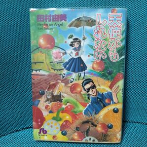 天使かもしれない (小学館文庫) 田村由美/著