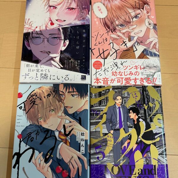夜明けがいちばん暗い ツンデレくんは「好き」がだだ洩れ ハッピークソライフ5 可愛いから君がわるい