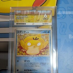 ポケモンカード コダック 076/096 ACE6
