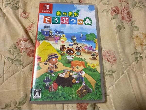 最安値 Nintendo Switch あつまれどうぶつの森