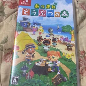 最安値 Nintendo Switch あつまれどうぶつの森