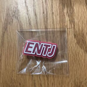 【新品】MBTI クリップ ENTJ