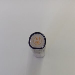 シャチハタ ネーム9 川端