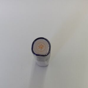 シャチハタ ネーム9 岸