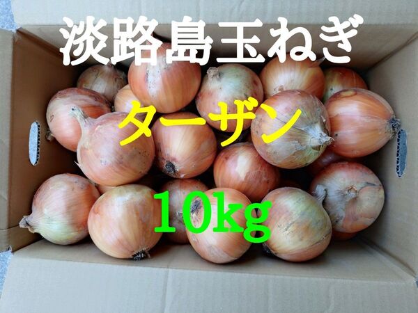 淡路島玉ねぎ10kg農家直送南あわじ
