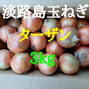 淡路島玉ねぎ3kg農家直送南あわじ