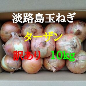 淡路島玉ねぎ訳あり10kg農家直送南あわじ