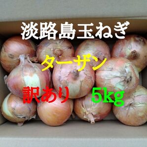 淡路島玉ねぎ訳あり5kg農家直送南あわじ