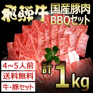 飛騨牛 国産豚肉 バーベキューセット 1kg （冷凍） 約4～5人分