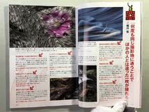 フォトコン　2020年 1月号 特集:絶対勝てる写真の作り方　付録なし　日本写真企画　PhotoCON 2020_画像3