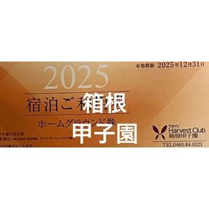 2025 箱根甲子園 東急ハーヴェストクラブ ホームグラウンド券