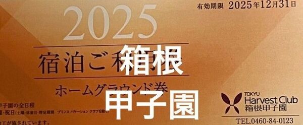 2025 箱根甲子園 東急ハーヴェストクラブ ホームグラウンド券
