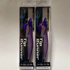 2個 クレイジーオーシャン ティップランナー 3.5号 パープル/パープル エギ
