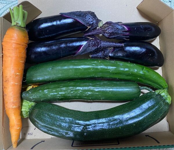 野菜詰め合わせセット