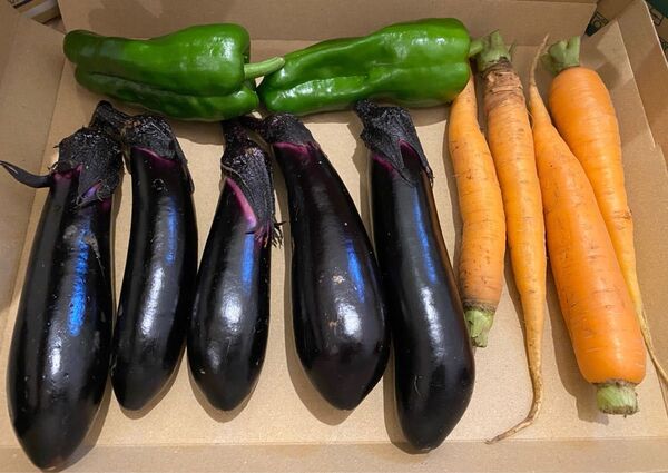 野菜詰め合わせセット
