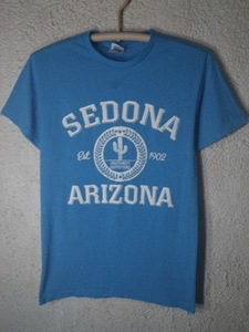 to1048 DELTA PRO WEIGHT　ホンジュラス製　ビンテージ　vintage　SEDONA ARIZONA　セドナ　アリゾナ　サボテン　tシャツ　人気　送料格安